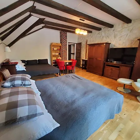 Pensiunea Casa Dacilor Székelyhidas