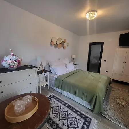 Pensiunea Casa Dacilor Vendégház