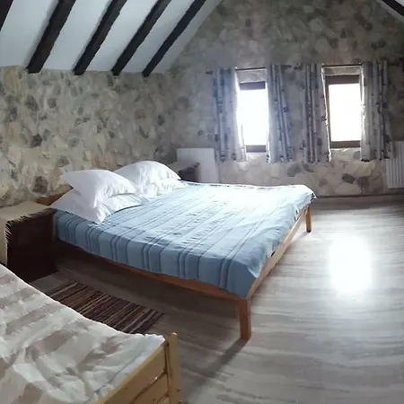 Pensiunea Casa Dacilor